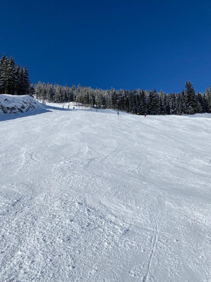 Appartements By Chalet Reiteralm -Sommercard ชลัดมิง ภายนอก รูปภาพ
