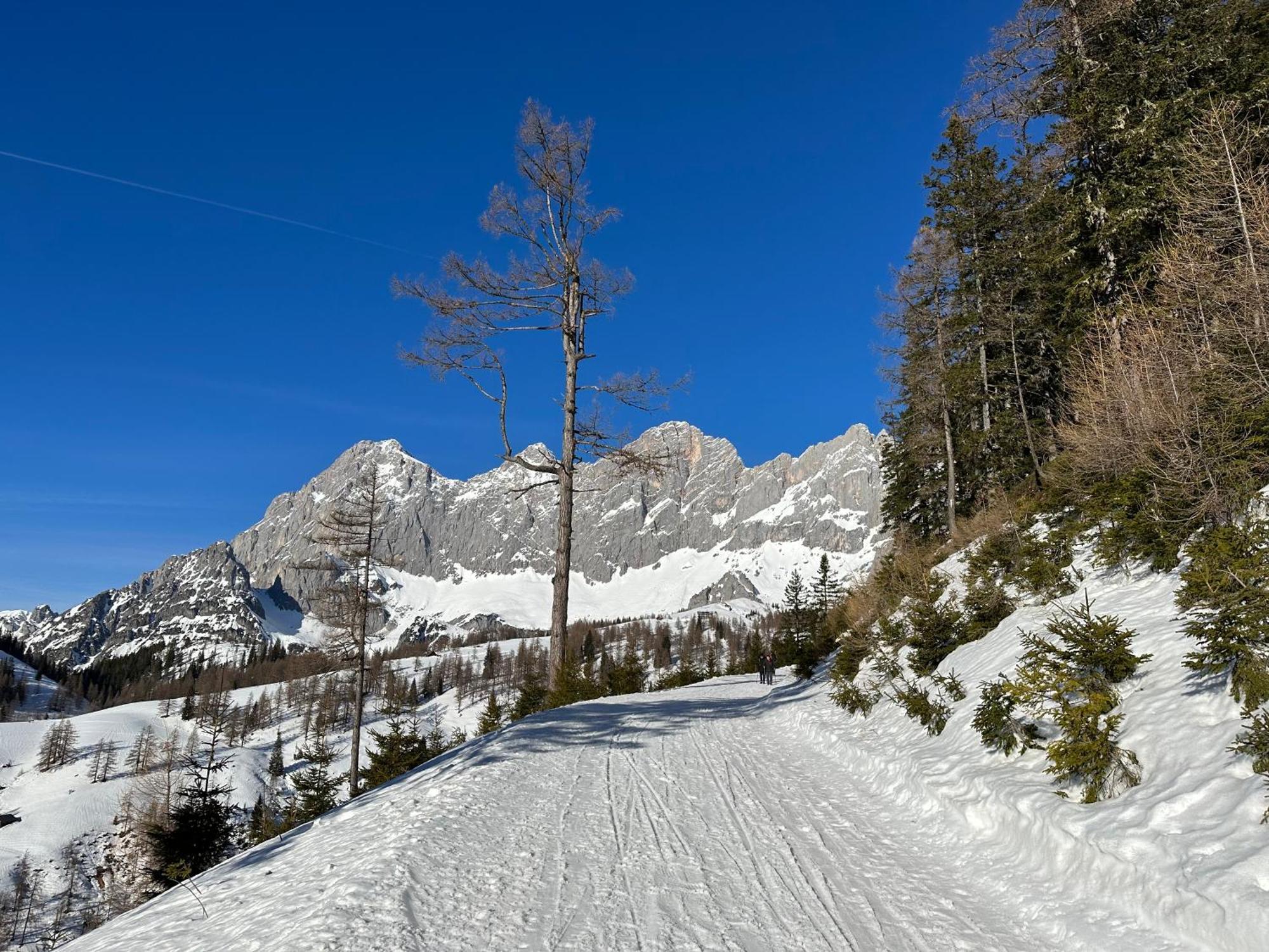 Appartements By Chalet Reiteralm -Sommercard ชลัดมิง ภายนอก รูปภาพ